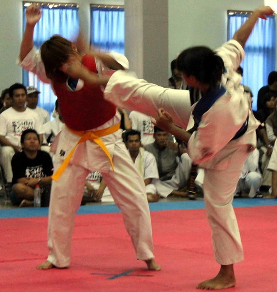 The 17th All Indonesian Shinkyokushin Karate Championship, the 31st