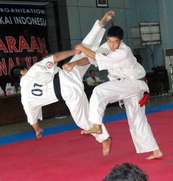 The 17th All Indonesian Shinkyokushin Karate Championship, the 31st