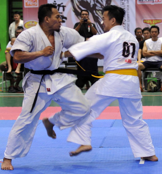 The 19th All Indonesia Shinkyokushin Karate Championship World Karate