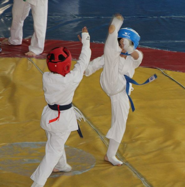 Armenia Oyama Cup 2014 World Karate Organization official site