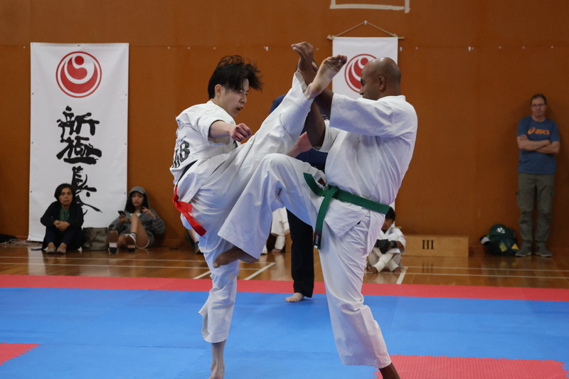 Kokoro & Kanji World Karate Organization ShinKyokushinKai