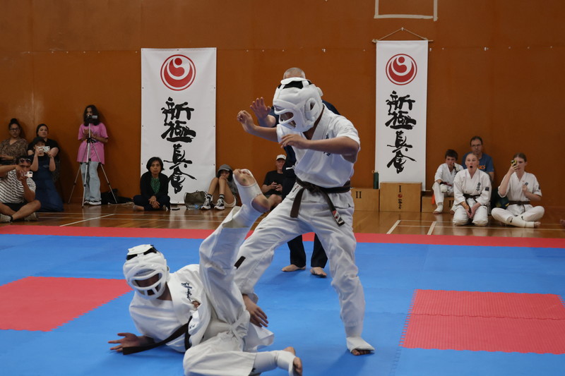 Kokoro & Kanji World Karate Organization ShinKyokushinKai