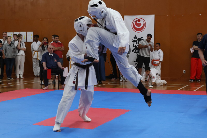 Kokoro & Kanji  World Karate Organization ShinKyokushinKai